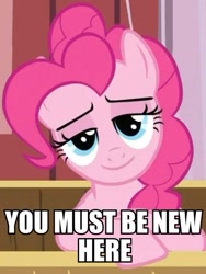 Size: 451x601 | Tagged: safe, edit, edited screencap, screencap, pinkie pie, earth pony, pony, the last roundup, female, image macro, lidded eyes, mare, meme, reaction image, smiling, solo, you must be new here