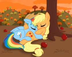 Size: 1280x1024 | Tagged: safe, artist:calicopikachu, applejack, rainbow dash, earth pony, pegasus, pony, accessory swap, apple, appledash, cuddling, eyes closed, female, hug, lesbian, mare, on back, on top, orchard, prone, shipping, sleeping, snuggling, sunset, tree