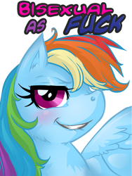 Size: 2400x3200 | Tagged: safe, artist:buttercupsaiyan, rainbow dash, pegasus, pony, bisexual pride flag, bisexuality, female, grin, headcanon, high res, lgbt, lgbt headcanon, mare, pride, sexuality headcanon, simple background, smiling, solo, transparent background, vulgar