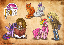 Size: 600x424 | Tagged: safe, artist:trollgirl, opalescence, pinkie pie, twilight sparkle, twilight sparkle (alicorn), alicorn, pony, clothes, crookshanks, crossover, female, harry potter, hermione granger, luna lovegood, mare, mary janes, pleated skirt, shoes, skirt, socks, sweater, thigh highs