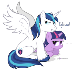 Size: 1380x1300 | Tagged: safe, artist:dm29, shining armor, twilight sparkle, alicorn, pony, unicorn, alicornified, brother and sister, colored hooves, duo, female, male, male alicorn, prince shining armor, race swap, righteous, siblings, simple background, spread wings, stallion, transparent background, wings