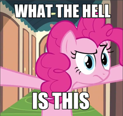 Size: 502x474 | Tagged: safe, edit, edited screencap, screencap, pinkie pie, earth pony, pony, mmmystery on the friendship express, bipedal, female, frown, mare, reaction image, solo, what is this