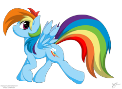 Size: 2500x1833 | Tagged: safe, artist:skipsy, rainbow dash, pegasus, pony, female, looking at you, mare, signature, simple background, solo, spread wings, transparent background, walking, wings