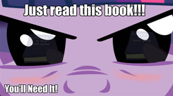 Size: 1208x678 | Tagged: safe, derpibooru import, twilight sparkle, adorkable, blushing, book, bookworm, cute, dork, image macro, meme, reflection