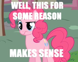 Size: 752x598 | Tagged: safe, edit, edited screencap, screencap, pinkie pie, earth pony, pony, caption, confused, female, frown, mare, solo