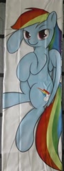 Size: 541x1440 | Tagged: safe, artist:theparagon, rainbow dash, pegasus, pony, body pillow, body pillow design, female, looking at you, lying down, mare, merchandise, on side, sheet, solo