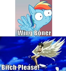 Size: 500x538 | Tagged: safe, rainbow dash, pegasus, pony, comparison, female, heaven's lost property, image macro, mare, song in the comments, sora no otoshimono, tomoki sakurai, wingboner