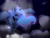 Size: 1600x1200 | Tagged: safe, artist:crystalheartz6, princess luna, alicorn, pony, cloud, cloudy, solo