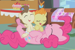 Size: 525x350 | Tagged: safe, screencap, pinkie pie, pound cake, pumpkin cake, earth pony, pegasus, pony, unicorn, baby cakes, baby, baby pony, cake twins, cropped, diaper, diapered, diapered colt, diapered filly, diapered foals, eyes closed, female, mare, on back, one month old colt, one month old filly, one month old foals, playful, sugarcube corner, white diapers