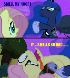 Size: 478x533 | Tagged: safe, fluttershy, princess luna, alicorn, pegasus, pony, hooves, image macro, meme, smelly hooves, stinky hooves