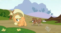 Size: 637x348 | Tagged: safe, screencap, applejack, winona, earth pony, pony, hub logo, raised tail, tail