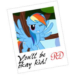 Size: 2000x2000 | Tagged: safe, artist:navitaserussirus, rainbow dash, pegasus, pony, autograph, high res, picture, polaroid, solo