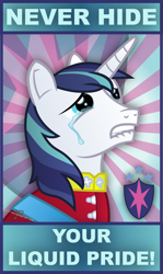 Size: 4300x7200 | Tagged: safe, artist:gray--day, shining armor, pony, unicorn, absurd resolution, crying, cutie mark, liquid pride, male, stallion