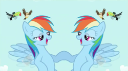 Size: 1105x619 | Tagged: safe, rainbow dash, pegasus, pony, hub logo, hubble, mirrored, the hub, unitinu