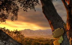 Size: 1920x1200 | Tagged: safe, artist:bryal, applejack, pony, flower, irl, mountain, photo, ponies in real life, relaxing, resting, sky, sleeping, solo, sunset, vector