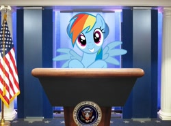 Size: 746x553 | Tagged: safe, artist:normanb88, rainbow dash, flag, irl, photo, podium, ponies in real life, president, united states, vector