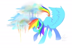 Size: 2700x1800 | Tagged: safe, artist:stupidyou3, rainbow dash, pegasus, pony, blue coat, cloud, female, mare, multicolored mane, solo