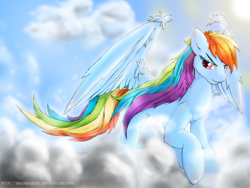 Size: 1120x840 | Tagged: safe, artist:brandarxiii, rainbow dash, pegasus, pony, blue coat, cloud, cloudy, female, mare, multicolored mane, solo