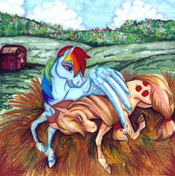 Size: 900x902 | Tagged: safe, artist:segdavinci, applejack, rainbow dash, earth pony, pegasus, pony, appledash, female, hay, lesbian, mare, realistic, shipping