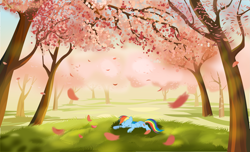 Size: 4929x2998 | Tagged: safe, artist:tgolyi, rainbow dash, pegasus, pony, cherry blossoms, flower, flower blossom, orchard, sleeping, wallpaper