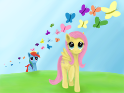 Size: 2800x2100 | Tagged: safe, artist:smileylimey, fluttershy, rainbow dash, butterfly, pegasus, pony, butterfly migration, female, flutterdash, high res, lesbian, looking up, migration, raised hoof, shipping