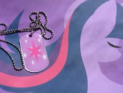 Size: 960x720 | Tagged: safe, derpibooru import, twilight sparkle, dog tags, irl, merchandise, photo