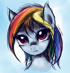 Size: 490x506 | Tagged: source needed, safe, artist:fajeh, rainbow dash, pegasus, pony, bust, looking at you, portrait, solo