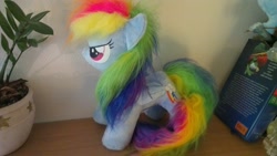 Size: 1600x902 | Tagged: artist needed, safe, rainbow dash, irl, photo, plushie