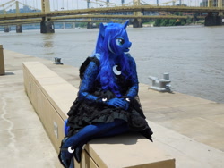 Size: 4608x3456 | Tagged: safe, artist:bramble bunny, princess luna, anthro, anthrocon, clothes, cosplay, fursuit, irl, photo, solo