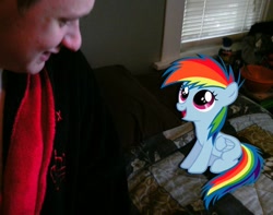 Size: 735x578 | Tagged: safe, rainbow dash, human, pony, irl, irl human, photo, ponies in real life, vector