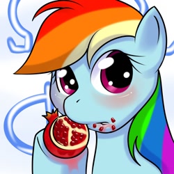 Size: 1000x1000 | Tagged: safe, artist:kloudmutt, rainbow dash, pegasus, pony, blushing, food, fruit, herbivore, juices, messy, messy eating, pomegranate