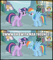 Size: 876x991 | Tagged: safe, derpibooru import, rainbow dash, twilight sparkle, pegasus, pony, comic, image macro