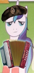 Size: 345x733 | Tagged: safe, edit, shining armor, pony, unicorn, accordion, dat face soldier, hat, musical instrument, remove kebab