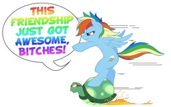 Size: 1480x927 | Tagged: safe, artist:joey darkmeat, artist:stonewolf, rainbow dash, tank, pegasus, pony, tortoise, vulgar