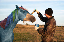 Size: 720x482 | Tagged: safe, artist:el-yeguero, rainbow dash, horse, human, horse cosplay, irl, irl human, paint, paint on fur, photo, photoshop