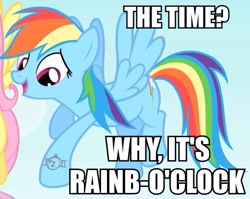 Size: 542x432 | Tagged: safe, edit, edited screencap, screencap, fluttershy, rainbow dash, pegasus, pony, party of one, bad poker face, caption, image macro, pun