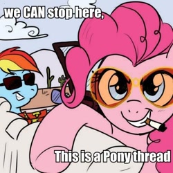 Size: 500x500 | Tagged: safe, artist:madmax, pinkie pie, rainbow dash, earth pony, pegasus, pony, cigarette, fear and loathing in las vegas, image macro, pony thread, raoul duke, sunglasses, we can't stop here this is bat country