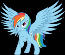 Size: 800x673 | Tagged: safe, rainbow dash, pegasus, pony, blue coat, blue wings, feather, female, mare, multicolored mane, simple background, smiling, solo, wings