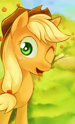 Size: 920x1513 | Tagged: safe, artist:si1vr, applejack, earth pony, pony, female, mare, solo, wink