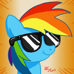 Size: 1000x1000 | Tagged: safe, artist:projectzuel, rainbow dash, pegasus, pony, blue coat, female, mare, multicolored mane, solo, sunglasses