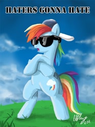 Size: 700x941 | Tagged: safe, artist:projectzuel, rainbow dash, pegasus, pony, bipedal, cloud, cloudy, crossed hooves, female, grass, grass field, haters gonna hate, mare, meme, open mouth, signature, solo, sunglasses