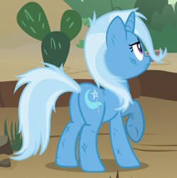 Size: 314x315 | Tagged: safe, derpibooru import, screencap, trixie, pony, unicorn, road to friendship, butt, cactus, cropped, female, mare, messy mane, plot, prickly pear, raised hoof, solo, underhoof