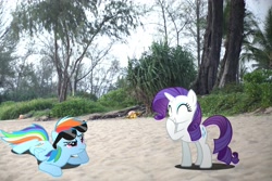 Size: 4272x2848 | Tagged: safe, artist:hachaosagent, rainbow dash, rarity, pony, beach, giggling, irl, photo, ponies in real life, sunglasses, vector