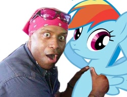 Size: 414x317 | Tagged: safe, rainbow dash, human, pegasus, pony, blue mane, female, mare, meme, multicolored mane