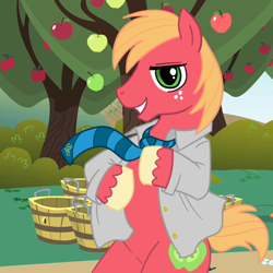 Size: 1000x1000 | Tagged: safe, artist:madmax, big macintosh, earth pony, pony, bipedal, clothes, jacket, male, necktie, solo, stallion, undressing