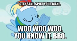 Size: 640x344 | Tagged: safe, rainbow dash, pegasus, pony, image macro, woo woo woo, wwe, you know it, zack ryder