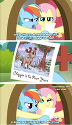 Size: 1256x2168 | Tagged: safe, artist:irie-mangastudios, fluttershy, rainbow dash, pegasus, pony, dragon quest, choppershy, dashface, one piece, tony tony chopper