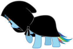 Size: 4000x2703 | Tagged: artist needed, source needed, safe, rainbow dash, pegasus, pony, cloak, clothes