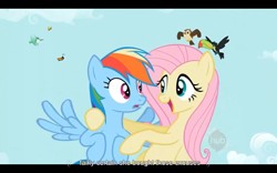 Size: 1024x640 | Tagged: safe, screencap, fluttershy, rainbow dash, pegasus, pony, may the best pet win, youtube caption