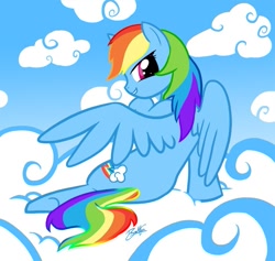 Size: 785x744 | Tagged: safe, artist:dawnallies, rainbow dash, pegasus, pony, cloud, signature, solo